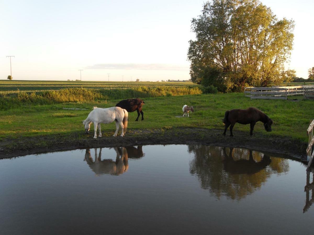 Horse Lake Ranch Neuendorf  Экстерьер фото